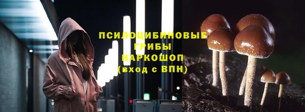 ALPHA PVP Майский